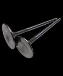 Brian Crower VW/Audi 1.8T 29.9mm Exhaust Valves