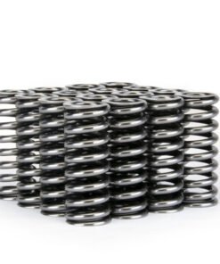Skunk2 Alpha Series Honda D Series VTEC Valve Spring Set