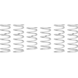 Eibach 2022 Polaris RZR Pro R PRO-UTV Stage 2 Spring system