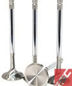 GSC P-D Nissan TB48DE Stainless Steel Intake Valve 38.50mm Head (STD) - Set of 12