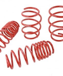 Skunk2 Racing 519-05-1775 Lowering Springs Kit for 2016-2018 Honda Civic
