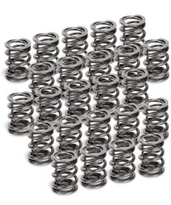 Supertech BMW M50/M52/S50/S52 Dual Valve Spring - Set of 24