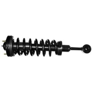 Monroe 171361 Front Shock Absorbers Strut Assembly Right or Left for Ford F-150