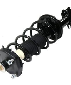 NEW Rear LH and RH Shock Absorber and Strut Assembly for 1999-2003 Mazda Protege