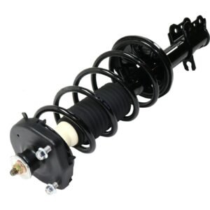 NEW Rear LH and RH Shock Absorber and Strut Assembly for 1999-2003 Mazda Protege