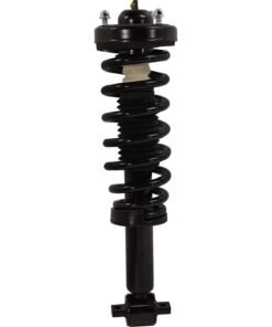 TrueDrive RF28050071 Front Loaded Strut Right Side for 2014 Ford F-150 RWD
