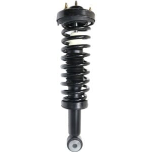 TrueDrive REPF280511 Front Loaded Strut Black for 2004-2008 Ford F-150 RWD