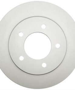 Raybestos 66630FZN Front Brake Discs Carbon Steel 5 Lugs for Ford F-150