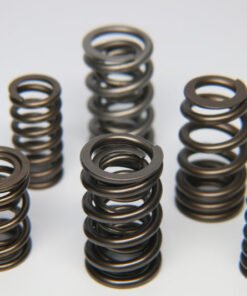 Ferrea Nissan Skyline NEO Dual Valve Spring - Set of 24