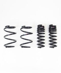 RS-R 2020 Toyota Supra (A90) Down Sus Springs