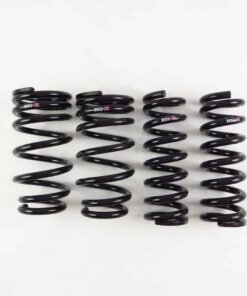 RS-R T999D Down SUS Lowering Springs for Lexus RC-F/GS-F