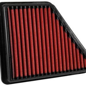 AEM 10-17 Chevrolet Equinox L4-2.4L V6-3.0L F/l DryFlow Air Filter