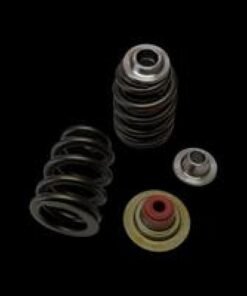 Brian Crower Can-Am X3 Rotax 900 Ace Beehive Spring/Titanium Retainer/Seat w/ Seal Kit