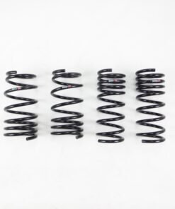 RS-R 2016 Scion iM Down Sus Springs